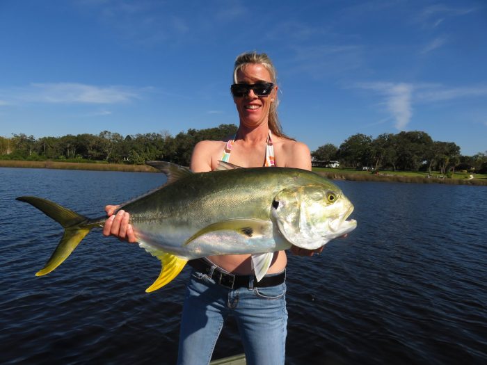 Jack crevalle size limit florida