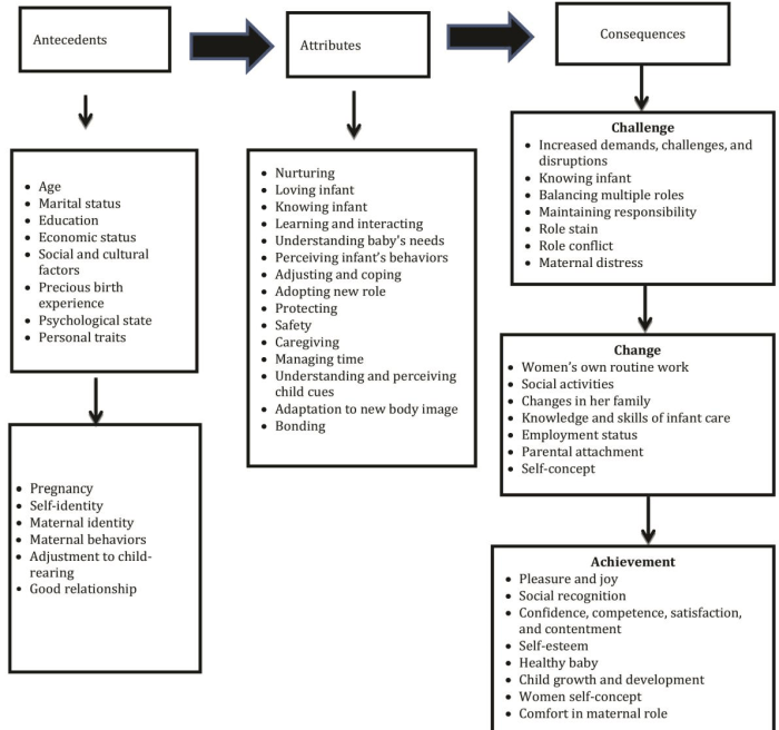 Mercer's maternal role attainment theory