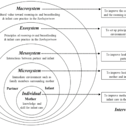 Mercer's maternal role attainment theory