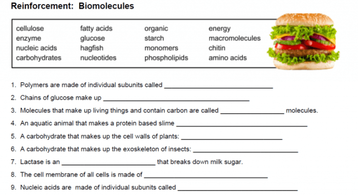 Biomolecule answers