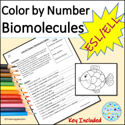 Biomolecules video handout answer key