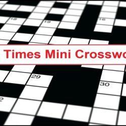 Credit card user crossword clue