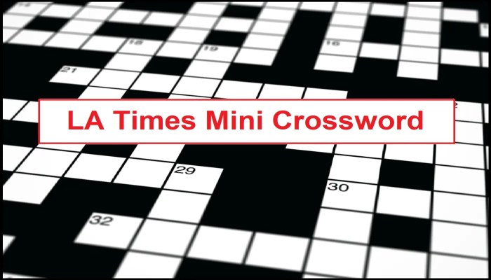 Credit card user crossword clue