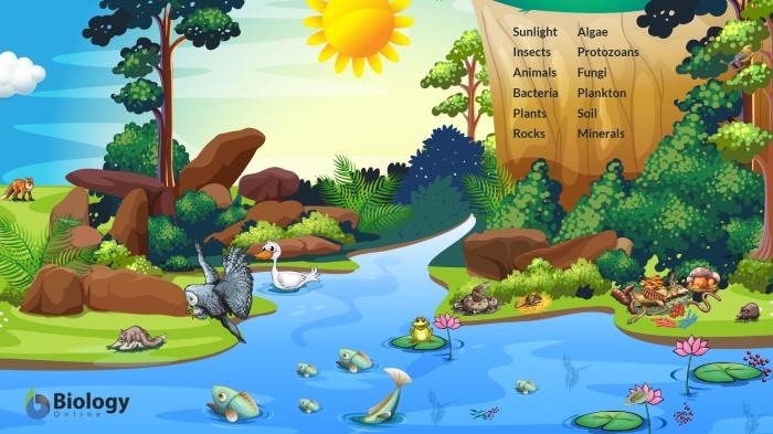 Aquatic ecosystems webquest answer key