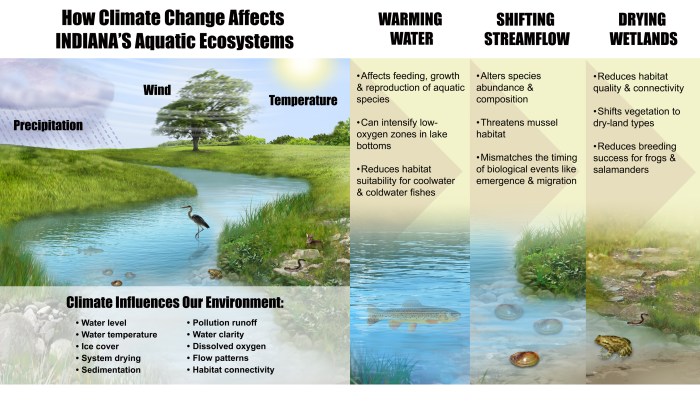 Aquatic ecosystems webquest answer key