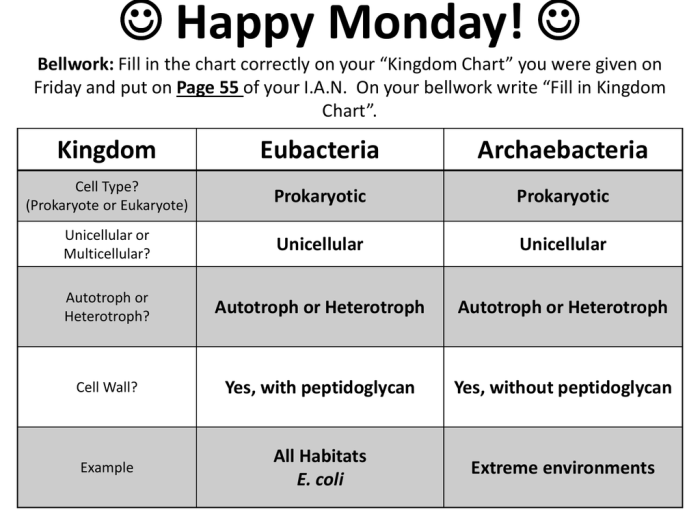 Archaea bacteria