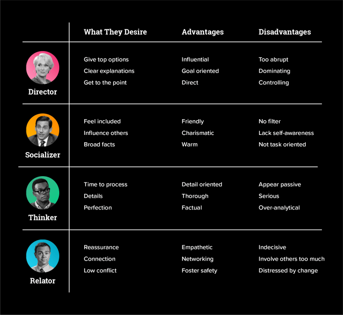 The analyzer is a workplace personality type that is organized