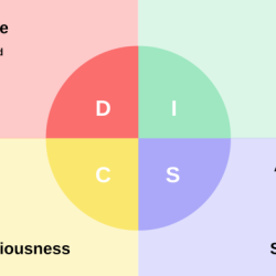 Amiable analytical driver expressive personality