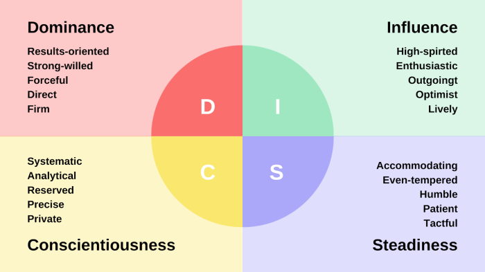 Amiable analytical driver expressive personality