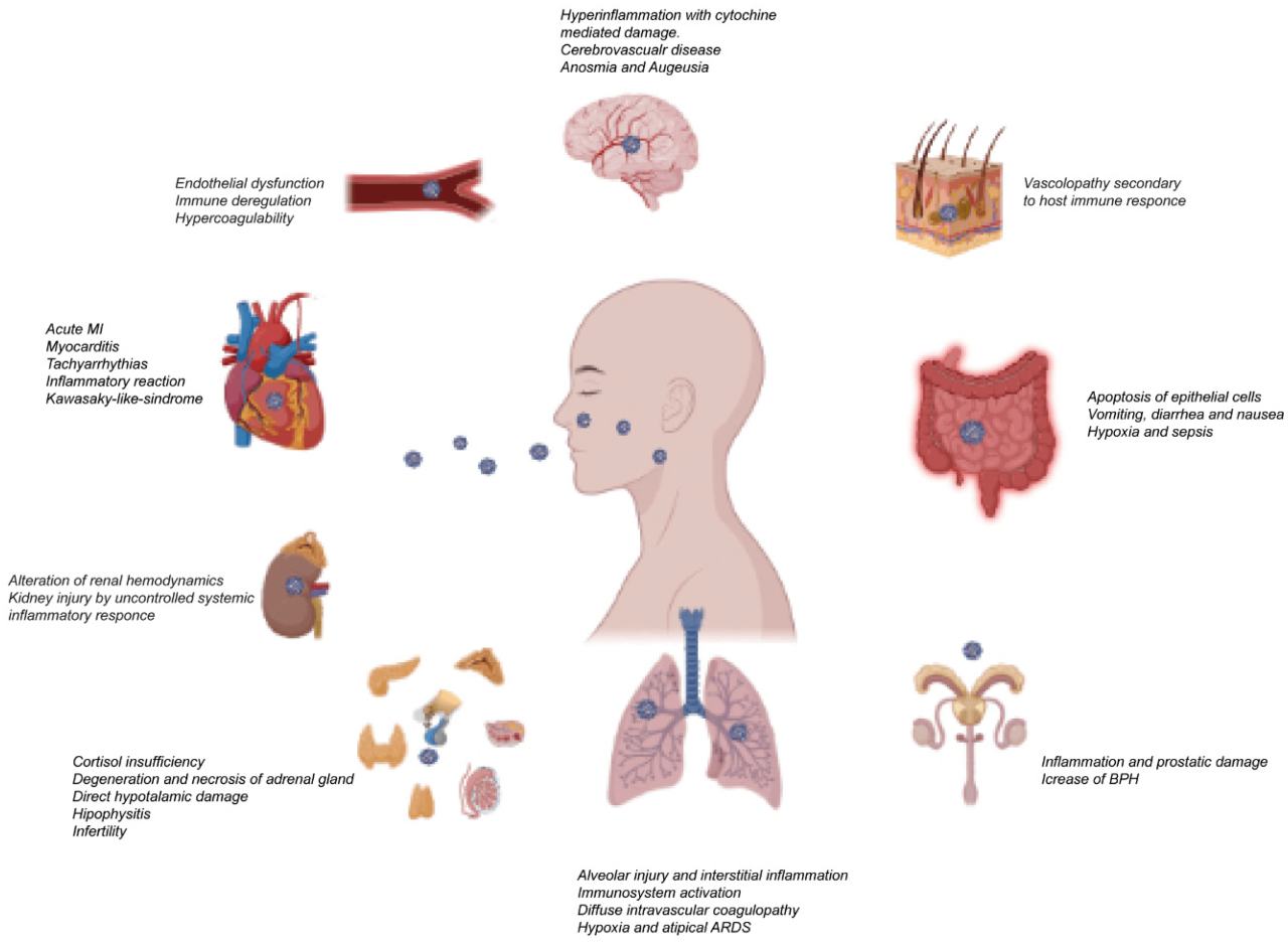 Exercise 27 anatomy of the reproductive system